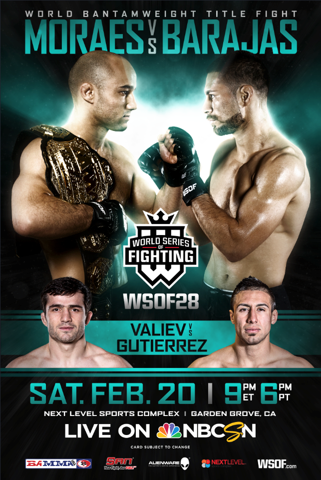 WSOF 28