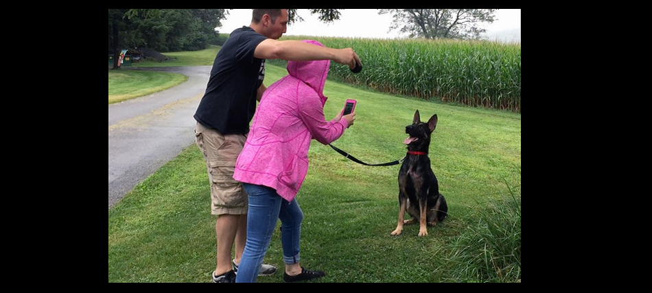 Carol Skaziak and Jason Walters, founders of Throw Away Dogs Project, evaluate Hope — a rescued stray later renamed Rousey, for her never-say-die spirit — to see if she might have what it takes to become a police dog. ROBERT MORAN / Inquirer Staff